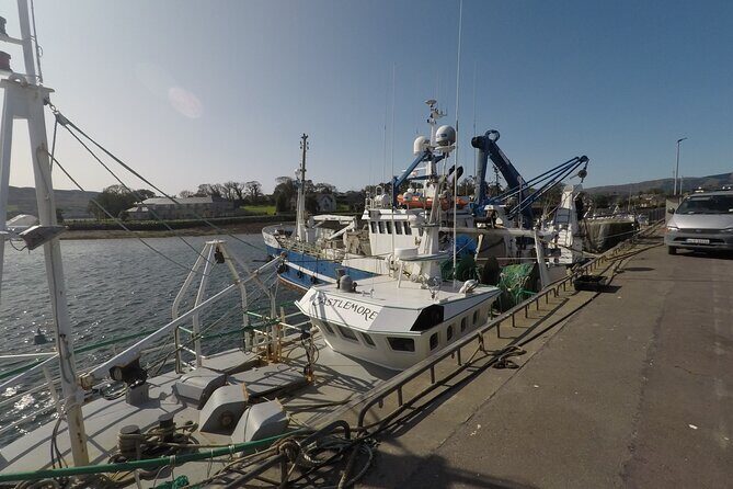 Private Tour: Ring of Beara from Kenmare. - An In-Depth Look at the Itinerary