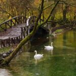 Private Tour: Sarajevo Day Trip from Dubrovnik - The Value & Price Analysis