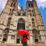 Private Tour: The Dark Side of Brussels - Value for Money