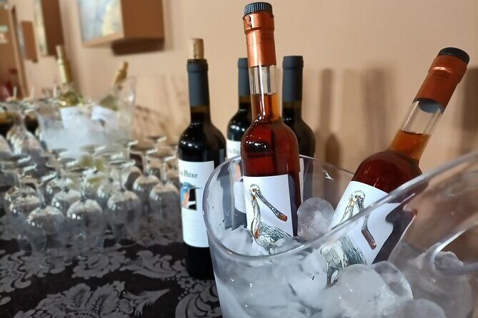 Private Tour to Arrabida with Wine and Cheese Tasting at the Mourisca Tide Mill - The Practicalities: What to Expect