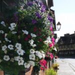 Private Tour to Bayeux, Honfleur and Pays d' Auge from Bayeux - The Itinerary in Detail