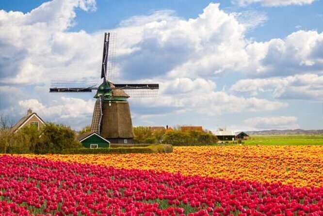 Private tour to Zaanse Schans &Volendam: Cheese, Windmills, clogs - Why Travelers Rave About This Tour