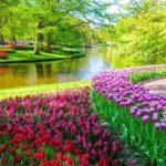 Private Tour Tulip Gardens (Keukenhof) and Dutch highlights - The Afternoon Options: Dutch Heritage & Scenic Drives