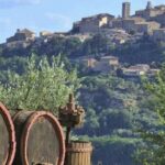 Private tour Wine and cheese a perfect combinations val 'Orcia - Who Will Love This Tour?