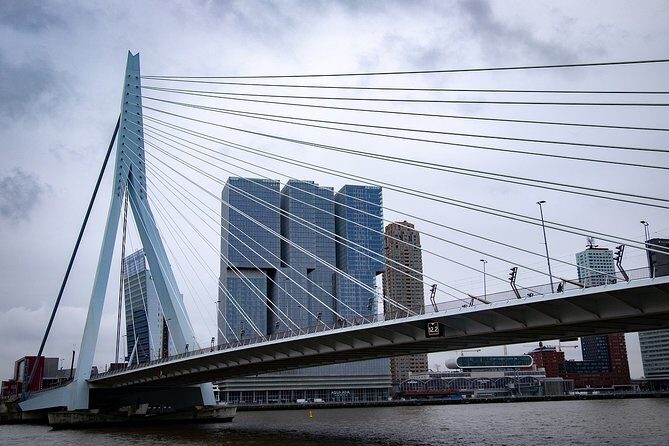 Private Transfer from Amsterdam city center to Rotterdam - What to Expect: A Step-by-Step Breakdown
