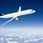 Private Transfer from / to Civitavecchia Port - Fiumicino Airport - What to Expect from This Transfer Service