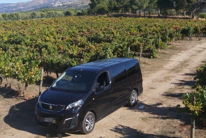 Private transfer - Lisbon - A Closer Look at the Experience