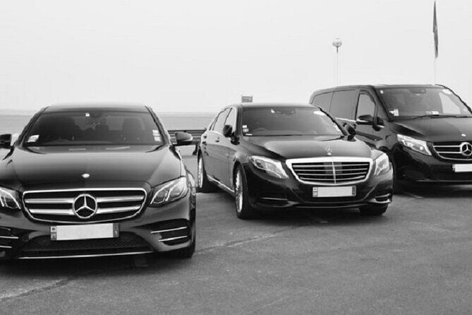 Private Transfer Nice Airport (NCE) to Monaco - Why Choose This Transfer?