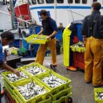 Private Transfer Tour Bilbao to San Sebastian through the Basque Coast - Final Thoughts