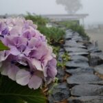 Private Tuk Tuk Tour in Nuns Valley - Frequently Asked Questions