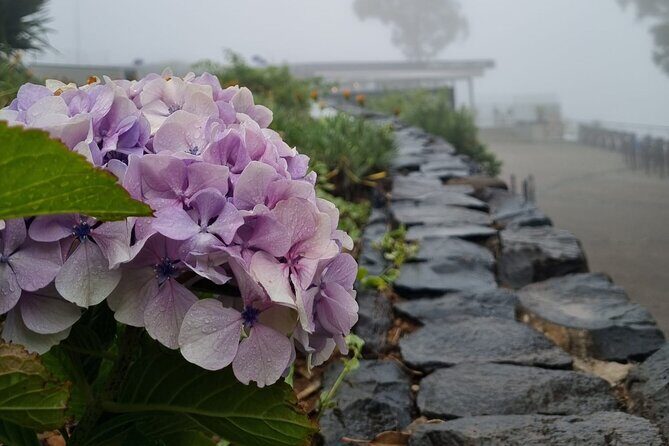 Private Tuk Tuk Tour in Nuns Valley - Frequently Asked Questions