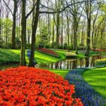 Private Tulip Fields, Windmills and Cheese Tour from Amsterdam - What We Love About This Tour
