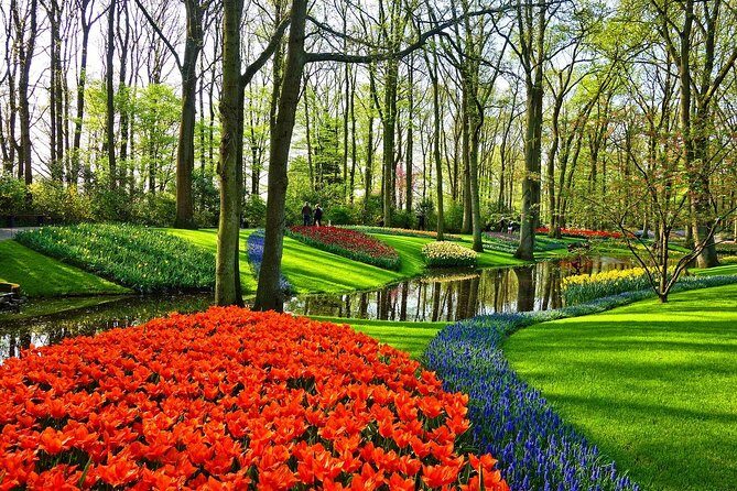 Private Tulip Fields, Windmills and Cheese Tour from Amsterdam - What We Love About This Tour