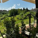 Private Tuscan Lunch with Wine & Evo oil tasting in the Vineyard - The Tasting Experience: Flavors and Quality