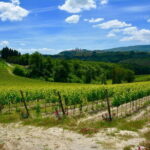 Private Tuscany Day Tour: San Gimignano and Chianti Wine Region from Florence - Final Thoughts