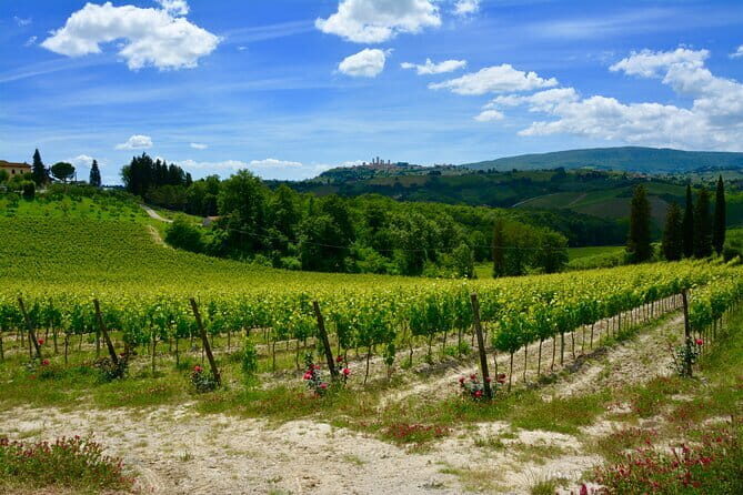 Private Tuscany Day Tour: San Gimignano and Chianti Wine Region from Florence - Final Thoughts