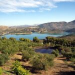 Private White Villages & Ronda Day Tour from Seville - Grazalema: Nature and Authenticity