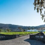 Private Wine Adventure Tour in the Most Distinct Wineries - The Itinerary in Detail: What You Can Expect