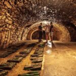 Private wine, food & heritage tour from Prague to Bohemia - Practical Details and What to Expect