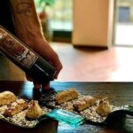 Private Wine & Oil Tasting with Lunch - The Beauty of the Setting