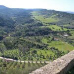 Private Wine Tasting in the Setúbal Wine Region, from Lisbon - What to Expect on the Tour: A Deep Dive