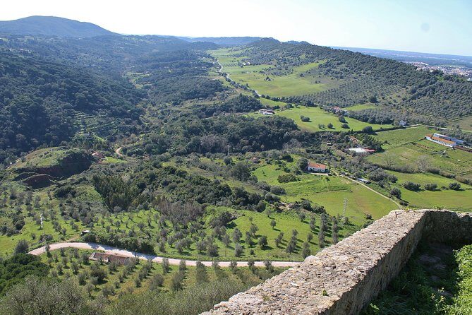 Private Wine Tasting in the Setúbal Wine Region, from Lisbon - What to Expect on the Tour: A Deep Dive