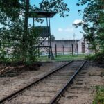 Private WW II Tour: Nazi Concentration Camp & Battle of Arnhem - Who Is This Tour Best For?