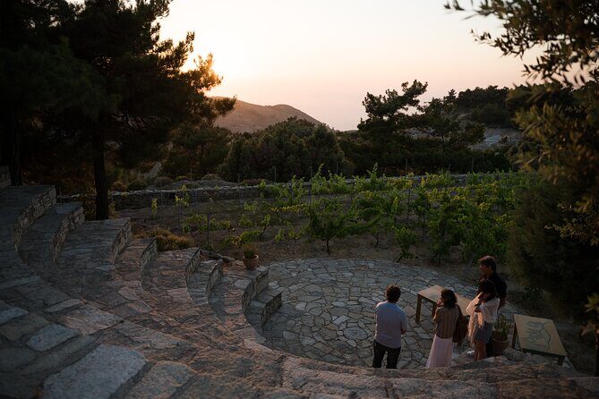 Professional Tour with Winemaker in Ikaria - Who Will Enjoy This Tour?