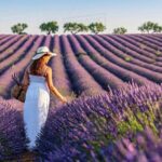 Provence and Lavender - private & Guided Full Day Tour - Who Is This Tour Best For?