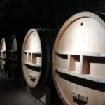 Provence Cru Wine Small-Group Half-Day Tour from Avignon - Exploring the Stops: What You’ll See and Experience