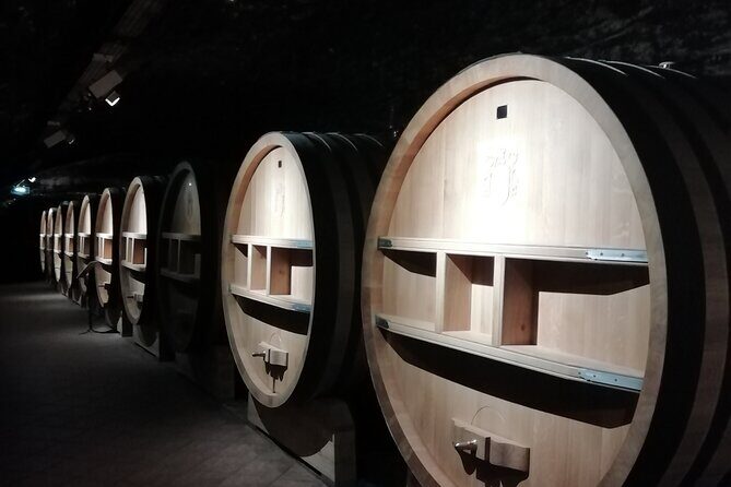 Provence Cru Wine Small-Group Half-Day Tour from Avignon - Exploring the Stops: What You’ll See and Experience