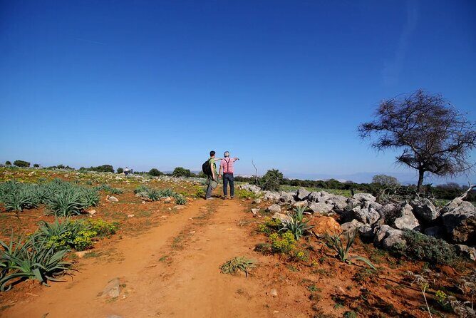 PUBLIC 5,5h Plavnik Island Half-day Boat Trip - Value and Practical Considerations