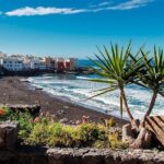 Puerto de la Cruz City Tour with Transfers - A Detailed Look at the Itinerary