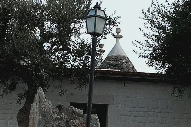 Puglia Full-Day Tour: Bari, Trulli of Alberobello, Castel del Monte and Sassi of Matera - What’s Included and What’s Not