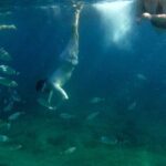 Pula Kayak Tour-Cliff jumping,snorkeling& free GoPro pictures - The Itinerary in Detail