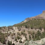 Quad Tour to the Teide National Park (3.5H) - Who Should Consider This Tour?