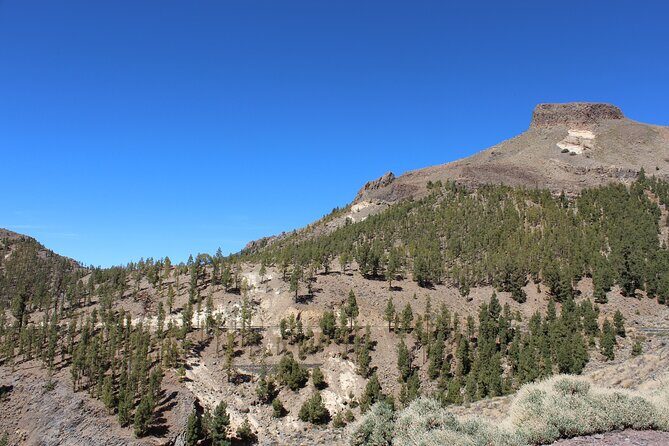 Quad Tour to the Teide National Park (3.5H) - Who Should Consider This Tour?