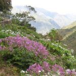 Rabaçal / Risco / 25 Fountains Full-day walk - What to Expect from This Full-day Madeira Hike