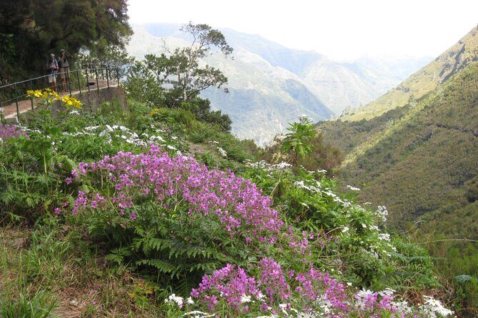 Rabaçal / Risco / 25 Fountains Full-day walk - What to Expect from This Full-day Madeira Hike