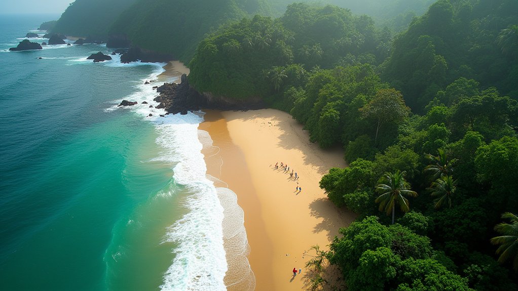 rainforest beach wildlife adventure