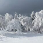 Rambling in Transylvania - What Sets This Tour Apart