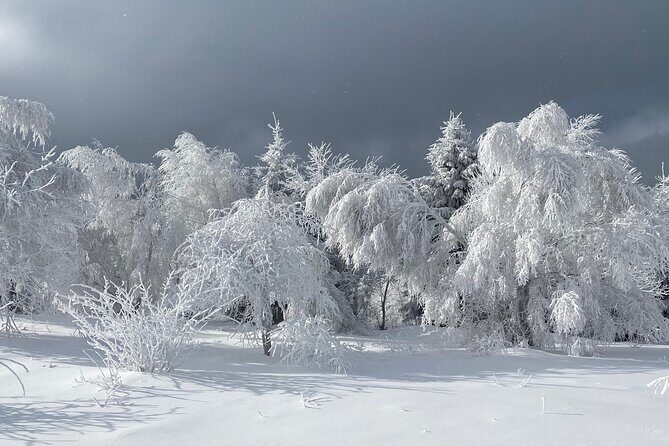 Rambling in Transylvania - What Sets This Tour Apart