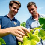 Reims afternoon tour Champagne and family growers - Final Thoughts
