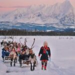 Reindeer Sledding and Feeding with Sami Culture in Tromso. - Reindeer Feeding and Interaction