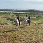 Relaxing Horse Riding Tour in Gran Canaria - The Scenic Journey