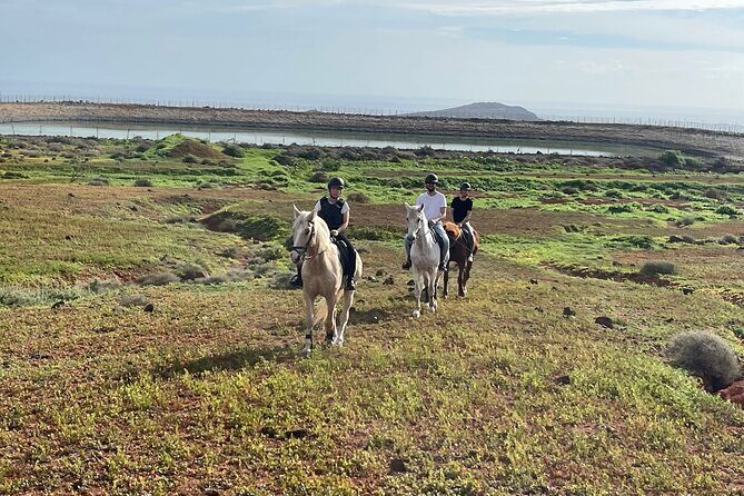 Relaxing Horse Riding Tour in Gran Canaria - The Scenic Journey