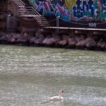 Rent a Trekking bike: Full Day 24 hours - What the Reviews Say About the Experience