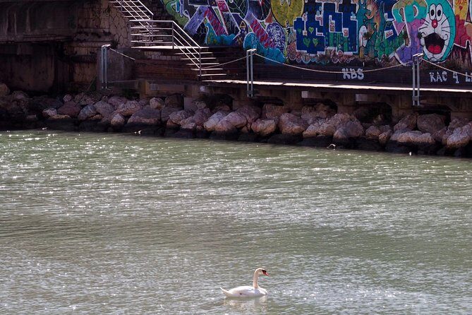 Rent a Trekking bike: Full Day 24 hours - What the Reviews Say About the Experience