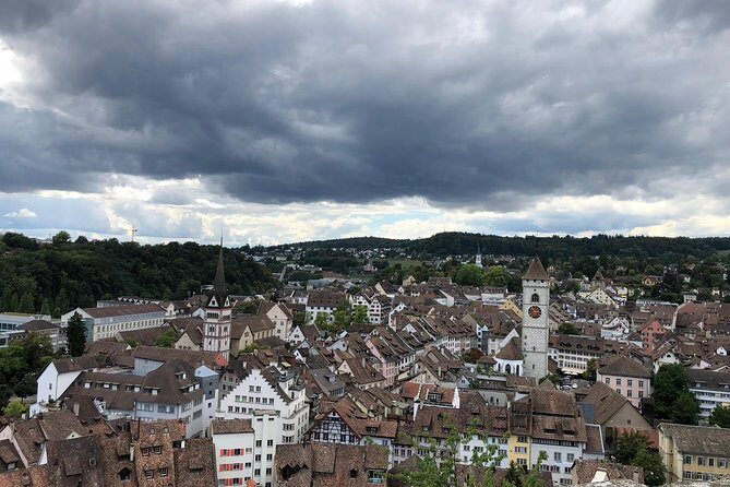 Rhine Falls and Stein am Rhein (Private Tour) - Why This Tour Might Be Right for You