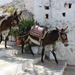 Rhodes, Lindos and Medieval City Guided Tour from Cruise Port - FAQs